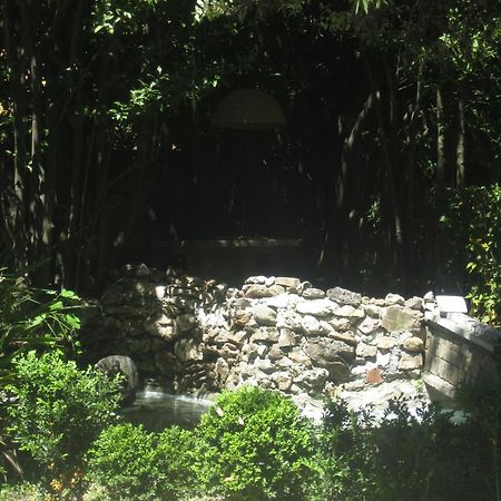 帕特里齐亚别墅住宿加早餐旅馆 卢卡 外观 照片