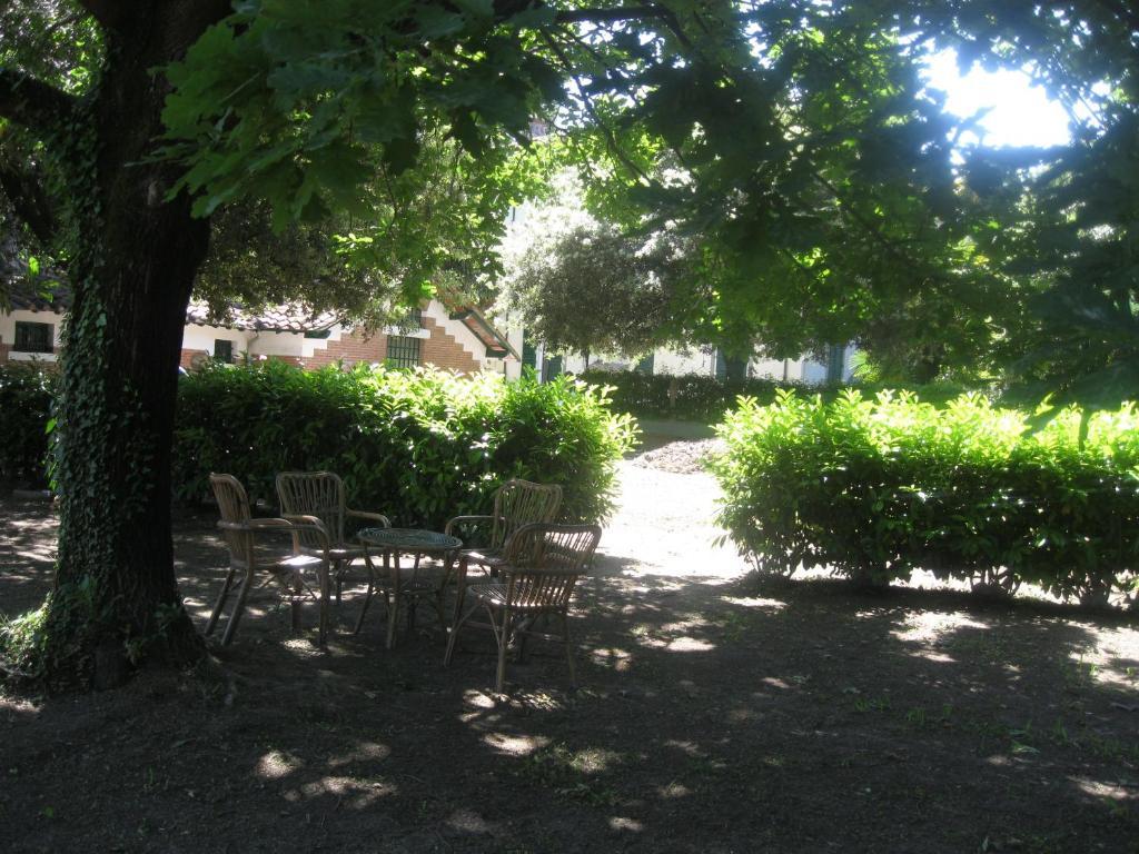 帕特里齐亚别墅住宿加早餐旅馆 卢卡 外观 照片